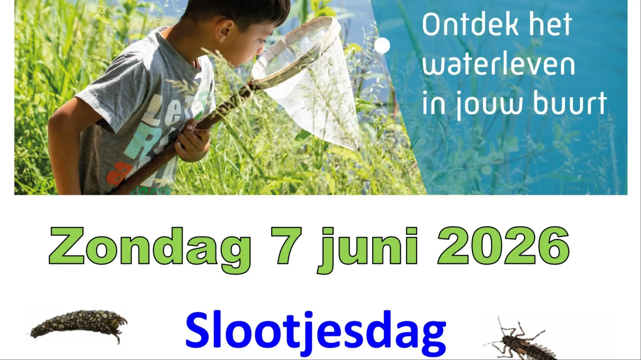 IVN Slootjesdag Leeuwarderbos