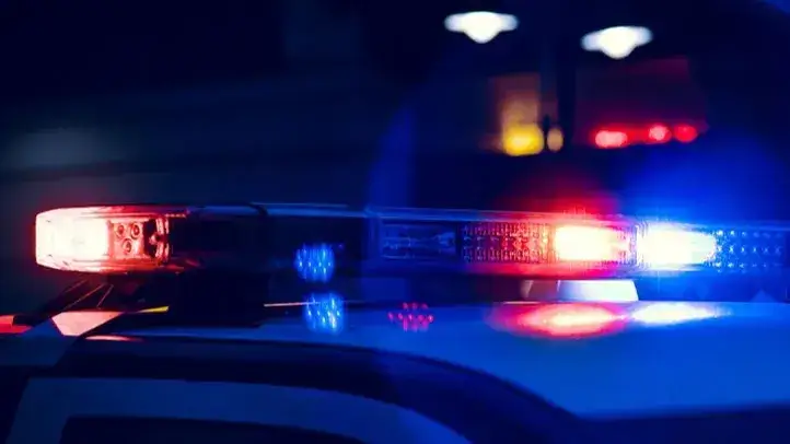 Jachtseizoen XL Stiens