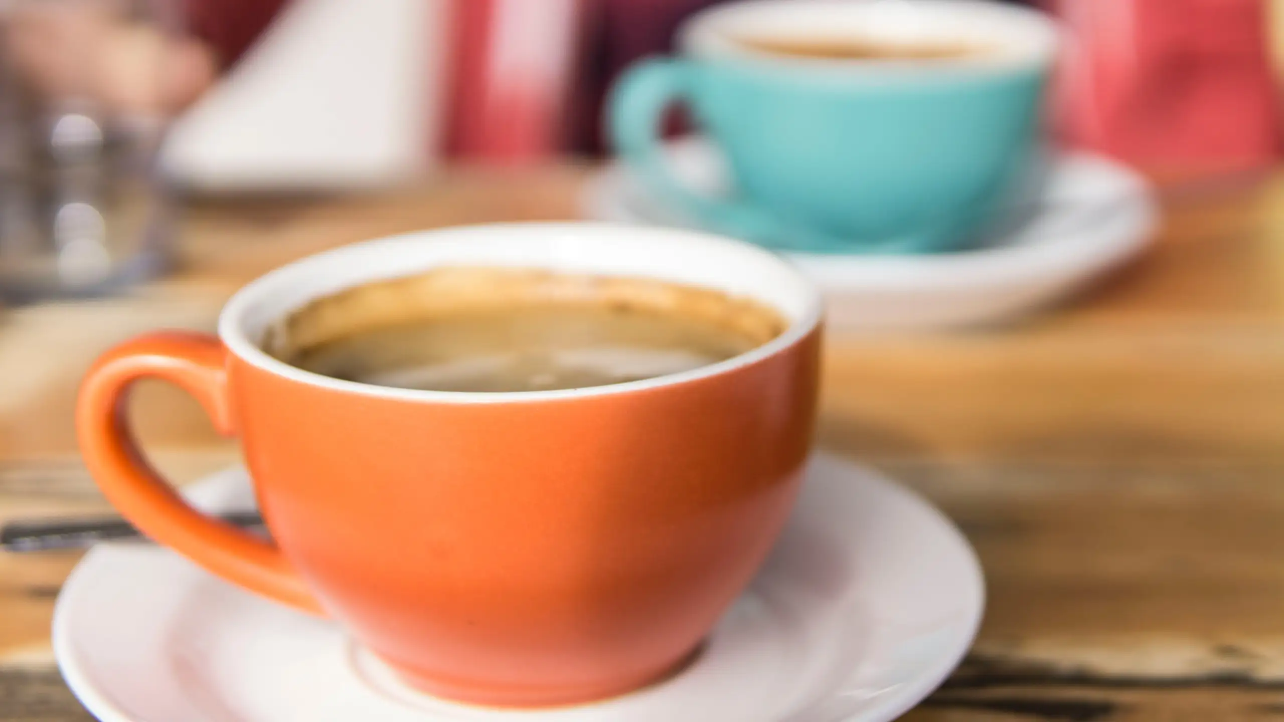 Bakje in de Hofwijck