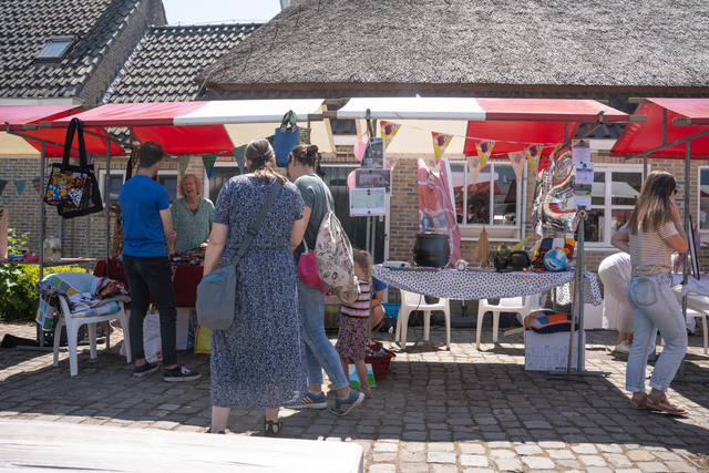 Amaryllis Zomerfair