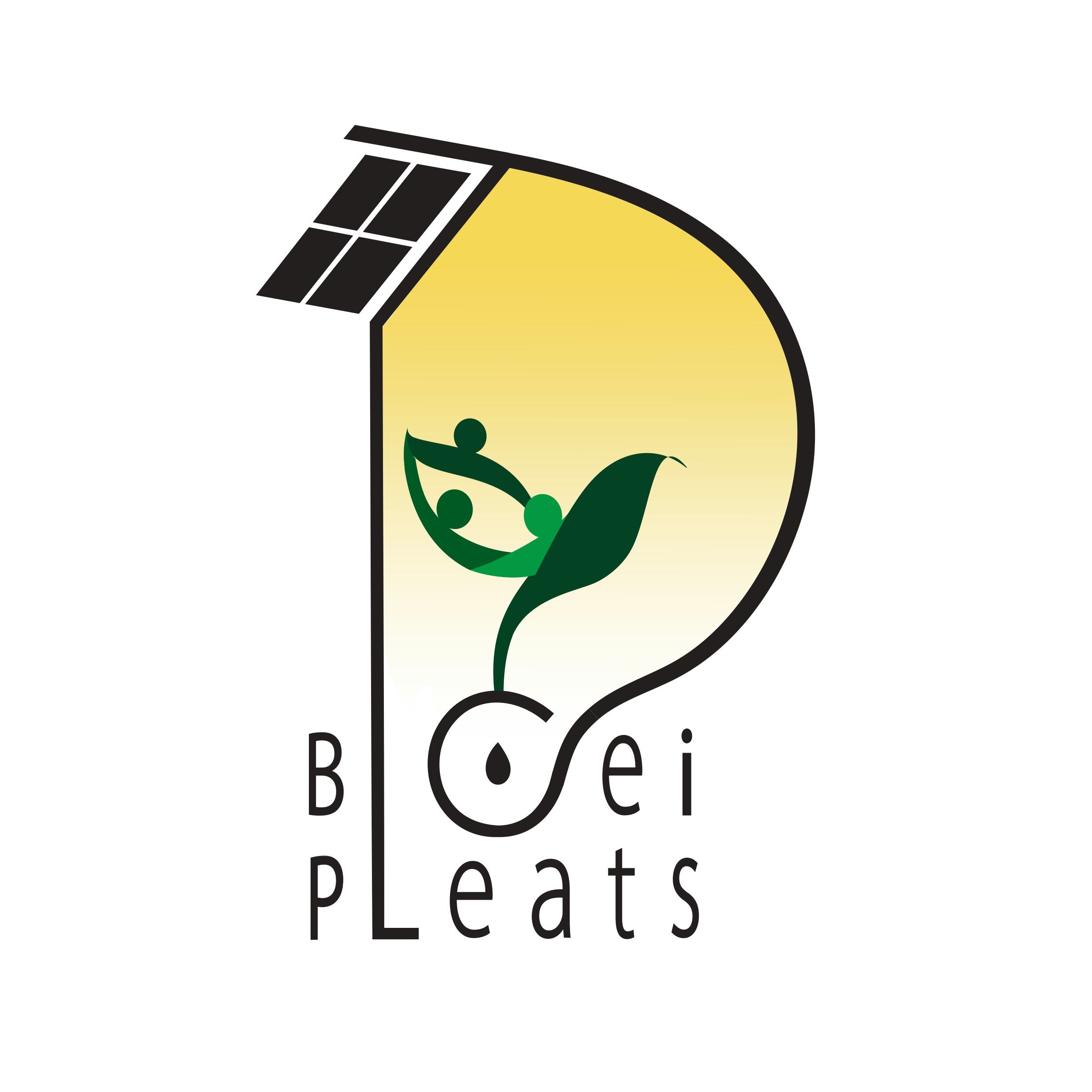 images/organisaties/logo_de-bloeipleats-een-locatie-van-stichting-ecodorp-friesland_1754046321.jpg