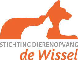 images/organisaties/logo_dierenopvang-de-wissel-stichting_1754046309.jpeg