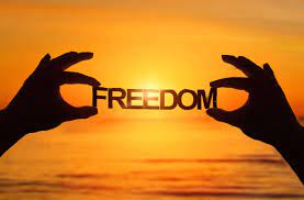 images/organisaties/logo_stichting-project-freedom_1754046314.jpeg