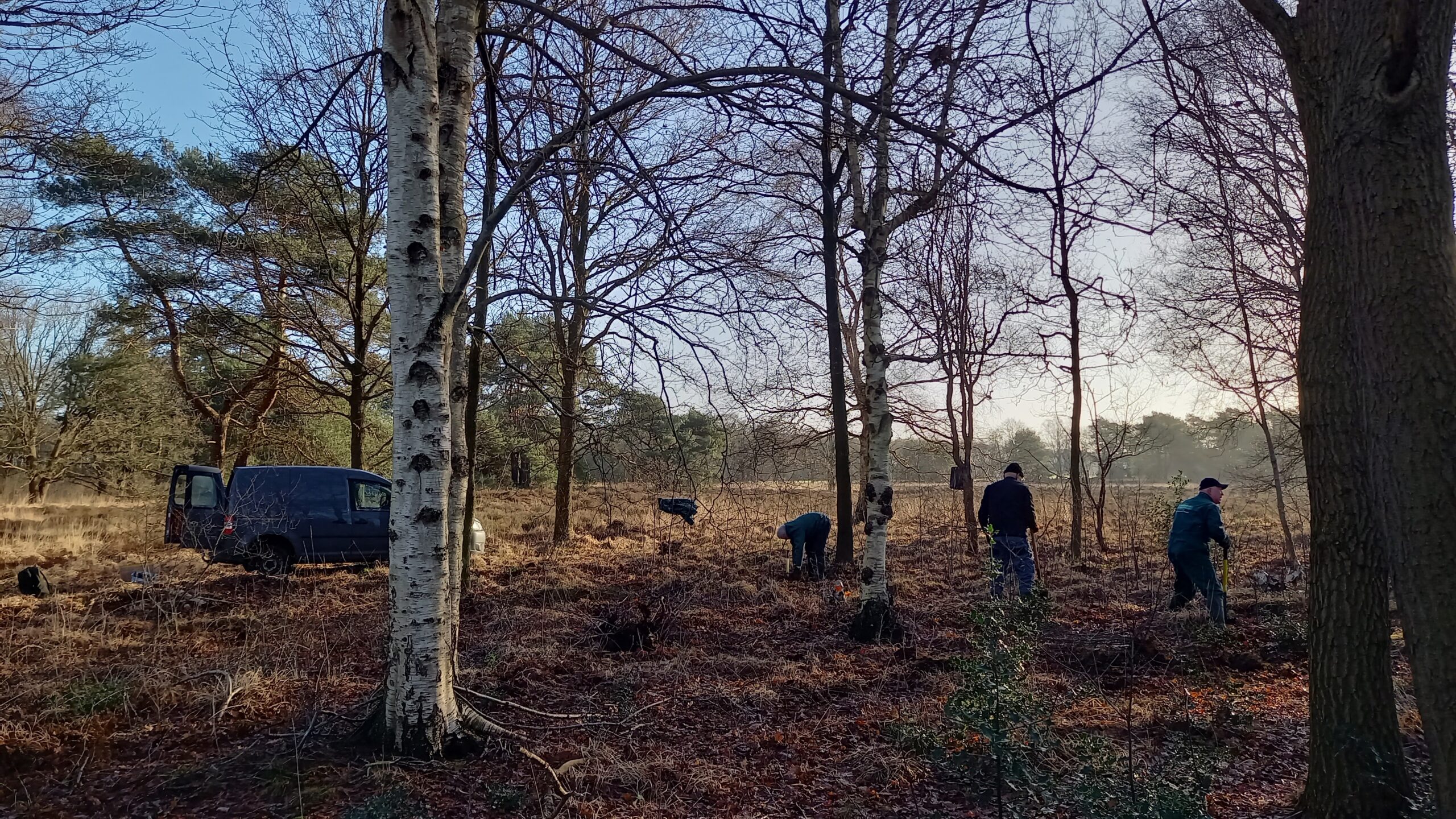 Vrijwilligers Meer Bomen Nu Friesland