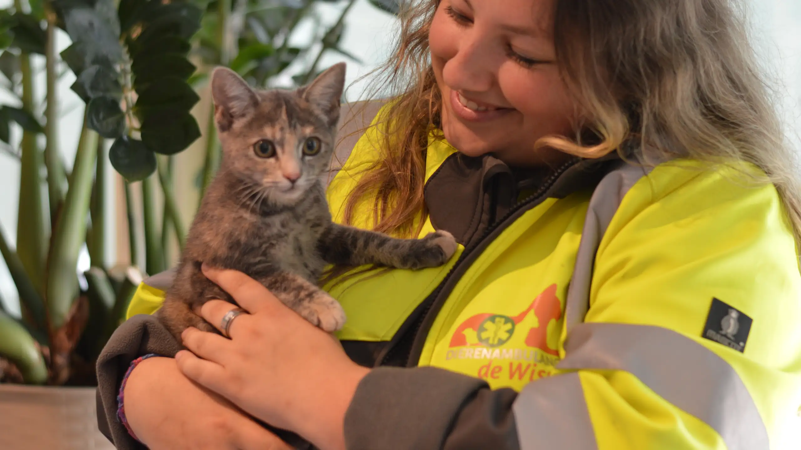 Board member fundraising/communications