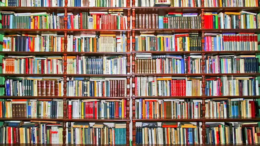 volunteer (stand-in) for the Library Van 