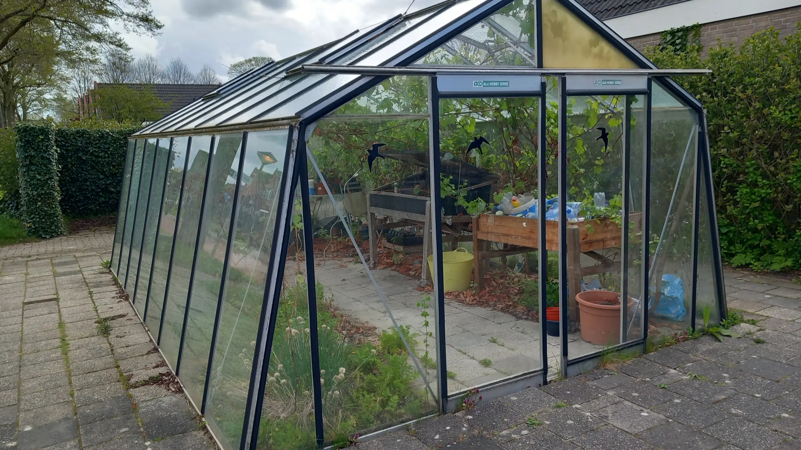 Volunteer with green thumb for greenhouse