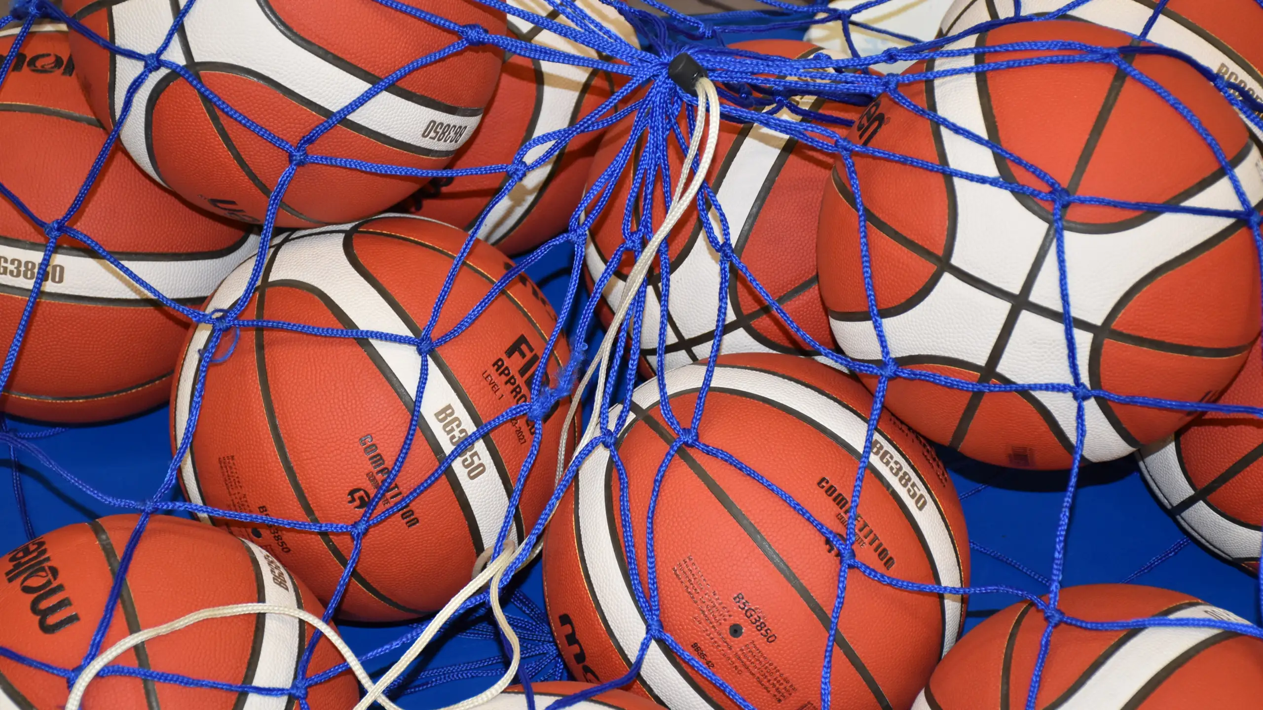 Secretaris basketbalvereniging Leeuwarden