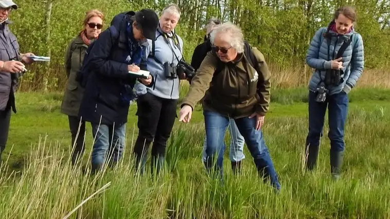 Werkgroeplid activiteiten natuur en duurzaamheid